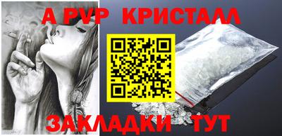 PSILOCYBIN Тула