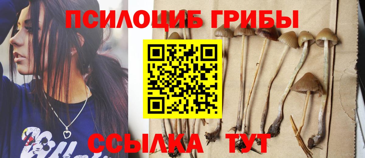 Назрань  Галлюциногенные грибы мухоморы  Вход с VPN 
